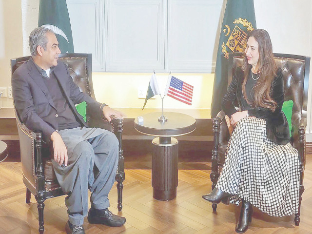 interior minister mohsin naqvi holds a meeting with acting us ambassador natalie baker in islamabad photo inp