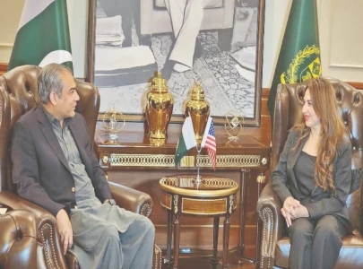 naqvi us envoy discuss security cooperation naqvi us envoy discuss security cooperation