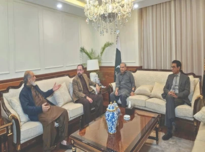 naqvi ministers resolve to fight terror