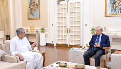 interior minister moshin naqvi meeting prime minister shehbaz sharif photo x