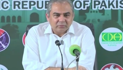 interior minister mohsin naqvi screengrab
