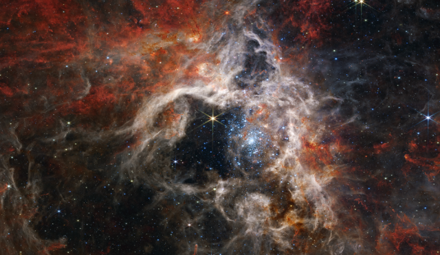 james webb telescope captures a cosmic tarantula james webb telescope captures a cosmic tarantula