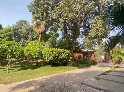 lhc orders inquiry into tree cutting at nasir bagh