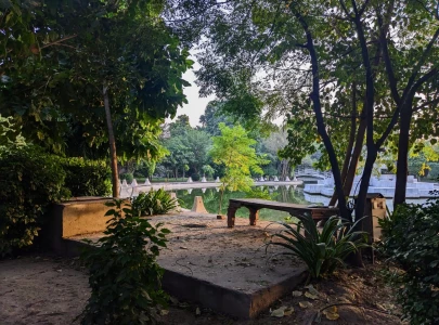 development endeavours clash with green spaces