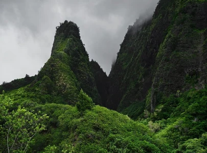 eu countries approve landmark nature law after delays eu countries approve landmark nature law after delays