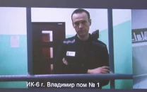 european allies say navalny was poisoned by dart frog toxin russia rejects claims