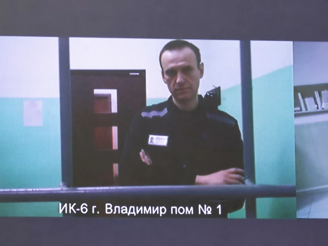 European allies say Navalny was poisoned by dart frog toxin; Russia rejects claims European allies say Navalny was poisoned by dart frog toxin; Russia rejects claims