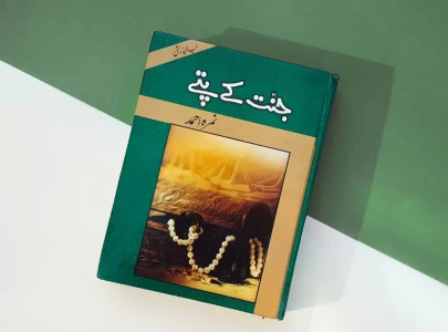 nemrah ahmad warns ai creators over unauthorised videos of her novel