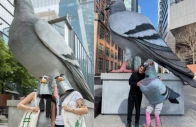 farewell to new york s 21 foot dinosaur pigeon as high line celebrates viral sculpture s final bow