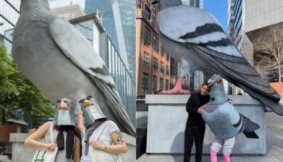 farewell to new york s 21 foot dinosaur pigeon as high line celebrates viral sculpture s final bow farewell to new york s 21 foot dinosaur pigeon as high line celebrates viral sculpture s final bow