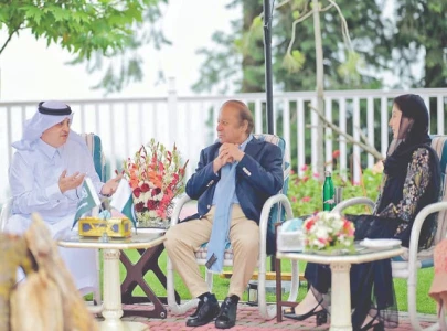 pml n denies nawaz eying presidency