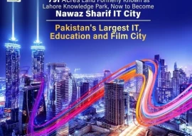 nsit city gets stza development licence