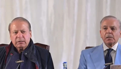 pml n supremo nawaz sharif alongside prime minister shehbaz sharif at a party convention in azad jammu and kashmir screengrab