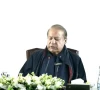 country can t withstand another crisis nawaz