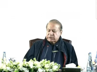 country can t withstand another crisis nawaz