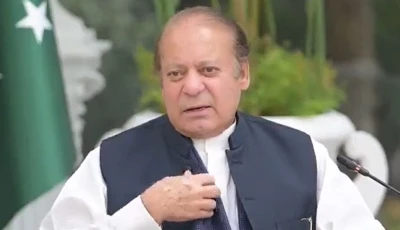 former prime minister nawaz sharif photo screen grab