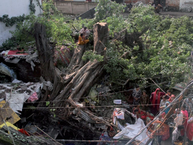people sit on a tree that has been uprooted by a severe storm in gorakhpur uttar pradesh photo reuters people sit on a tree that has been uprooted by a severe storm in gorakhpur uttar pradesh photo reuters