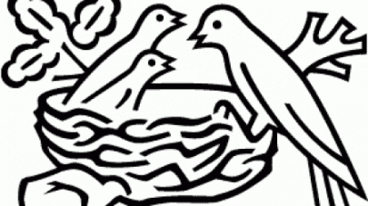 what olfrute did wrong