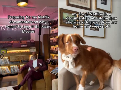 what is the netflix documentary meme viral tiktok trend explained