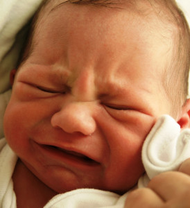 who knew life was all about making babies