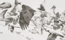 urdu as art dubai exhibition reimagines the language visually