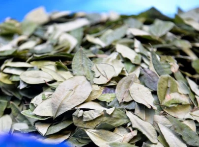 scientists create artificial leaf to convert co2 into chemicals using sunlight scientists create artificial leaf to convert co2 into chemicals using sunlight