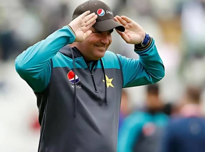 it s a jungle out there mickey arthur slams pakistan cricket after javed gillespie row it s a jungle out there mickey arthur slams pakistan cricket after javed gillespie row