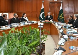 sjc reviews 24 judicial complaints dismisses 19 sjc reviews 24 judicial complaints dismisses 19
