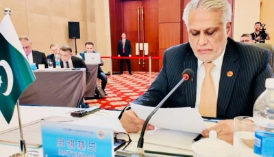 deputy prime minister and foreign minister senator ishaq dar addresses the sco council of foreign ministers meeting in tianjin on tuesday july 15 2025 photo x