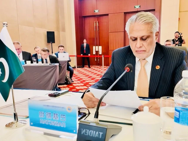 deputy prime minister and foreign minister senator ishaq dar addresses the sco council of foreign ministers meeting in tianjin on tuesday july 15 2025 photo x deputy prime minister and foreign minister senator ishaq dar addresses the sco council of foreign ministers meeting in tianjin on tuesday july 15 2025 photo x