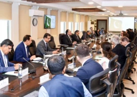 aurangzeb briefs moody s on pakistan s reform push stable outlook aurangzeb briefs moody s on pakistan s reform push stable outlook