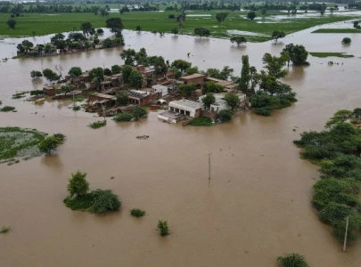 president zardari calls for world support as pakistan reels from climate impact president zardari calls for world support as pakistan reels from climate impact
