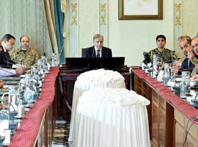 pm calls for enhanced coordination to mitigate flood impact in punjab pm calls for enhanced coordination to mitigate flood impact in punjab