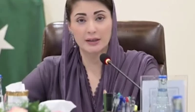 punjab chief minister maryam nawaz sharif addresses the commissioners and deputy commissioners via video link on wednesday aug 27 2025 screengrab