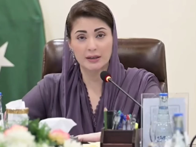 punjab chief minister maryam nawaz sharif addresses the commissioners and deputy commissioners via video link on wednesday aug 27 2025 screengrab punjab chief minister maryam nawaz sharif addresses the commissioners and deputy commissioners via video link on wednesday aug 27 2025 screengrab
