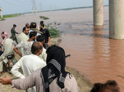 ravi buffer zones to expand in flood prone areas ravi buffer zones to expand in flood prone areas