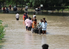 heavy rain lashes northern india yamuna river breaches danger mark in delhi heavy rain lashes northern india yamuna river breaches danger mark in delhi