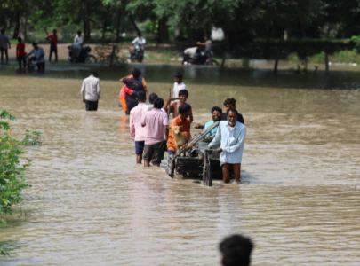 heavy rain lashes northern india heavy rain lashes northern india