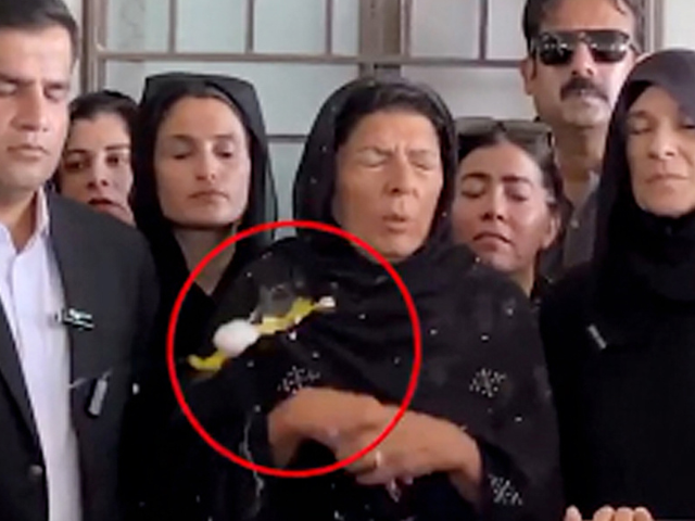 Pakistan Tehreek-i-Insaf leader Aleema Khan is struck by an egg during a media talk on Friday. Photo: NNI