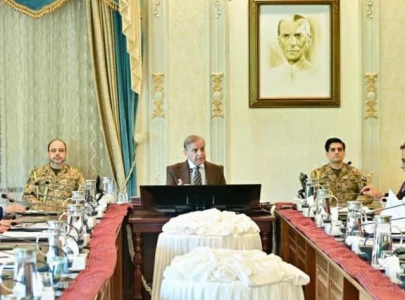 pm shehbaz orders climate resilience action plan pm shehbaz orders climate resilience action plan