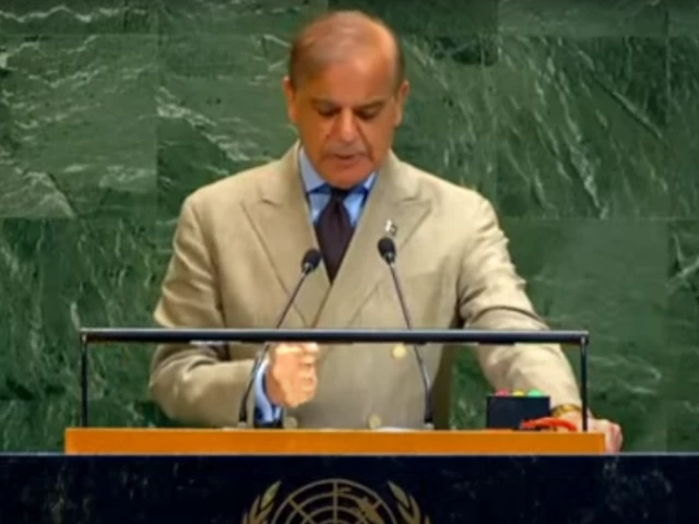 prime minister shehbaz sharif addresses the 80th session of the united nations general assembly in new york on friday sept 26 2025 screengrab