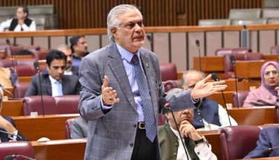 deputy prime minister and foreign minister ishaq dar addresses the national assembly session on friday oct 3 2025 photo facebook
