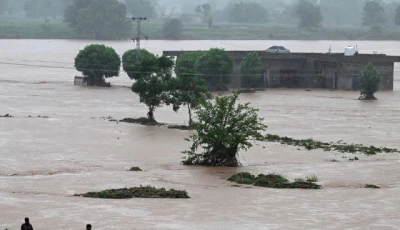 local people catch fish in the floodwaters near a partially submerged house during heavy monsoon rains at the ladian village of rawalpindi on july 17 2025 photo afp