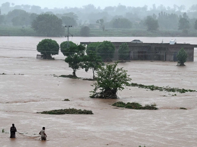 local people catch fish in the floodwaters near a partially submerged house during heavy monsoon rains at the ladian village of rawalpindi on july 17 2025 photo afp