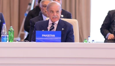 prime minister shehbaz sharif addresses the 17th economic cooperation organization eco summit in azerbaijan on friday july 04 2025 photo courtesy x