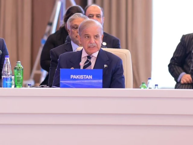prime minister shehbaz sharif addresses the 17th economic cooperation organization eco summit in azerbaijan on friday july 04 2025 photo courtesy x prime minister shehbaz sharif addresses the 17th economic cooperation organization eco summit in azerbaijan on friday july 04 2025 photo courtesy x