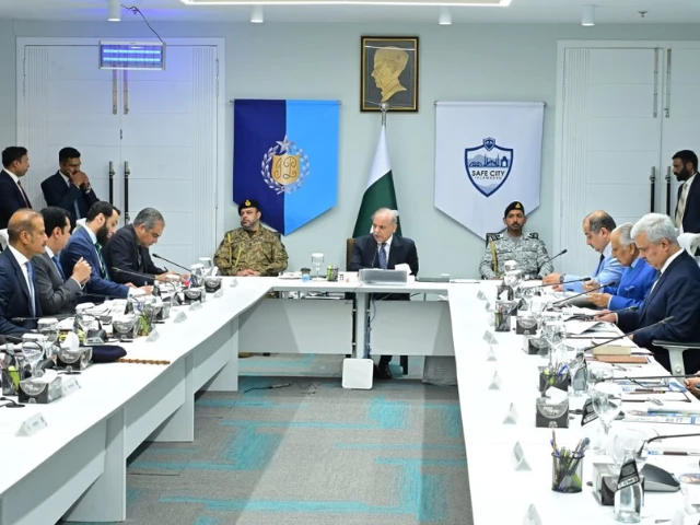 prime minister chairs a high level meeting on security arrangements for chinese citizens on tuesday photo app prime minister chairs a high level meeting on security arrangements for chinese citizens on tuesday photo app