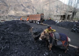 six killed in afghanistan coal mine collapse
