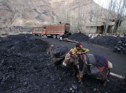 six killed in afghanistan coal mine collapse six killed in afghanistan coal mine collapse