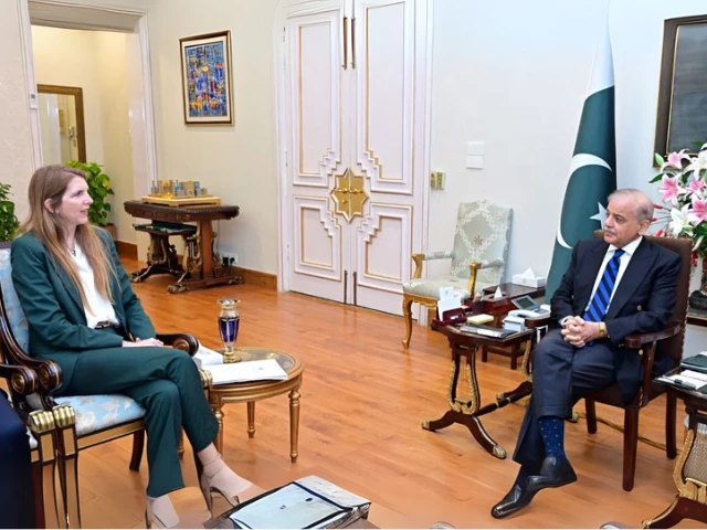 prime minister shehbaz sharif meets the british high commissioner jane marriott in islamabad on wednesday photo radio pakistan prime minister shehbaz sharif meets the british high commissioner jane marriott in islamabad on wednesday photo radio pakistan